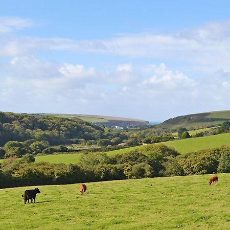 Merlin View St Mawgan Exteriör bild